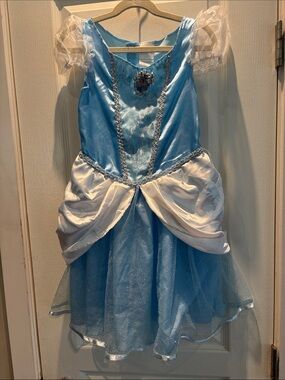 Disney Princess Cinderella dress